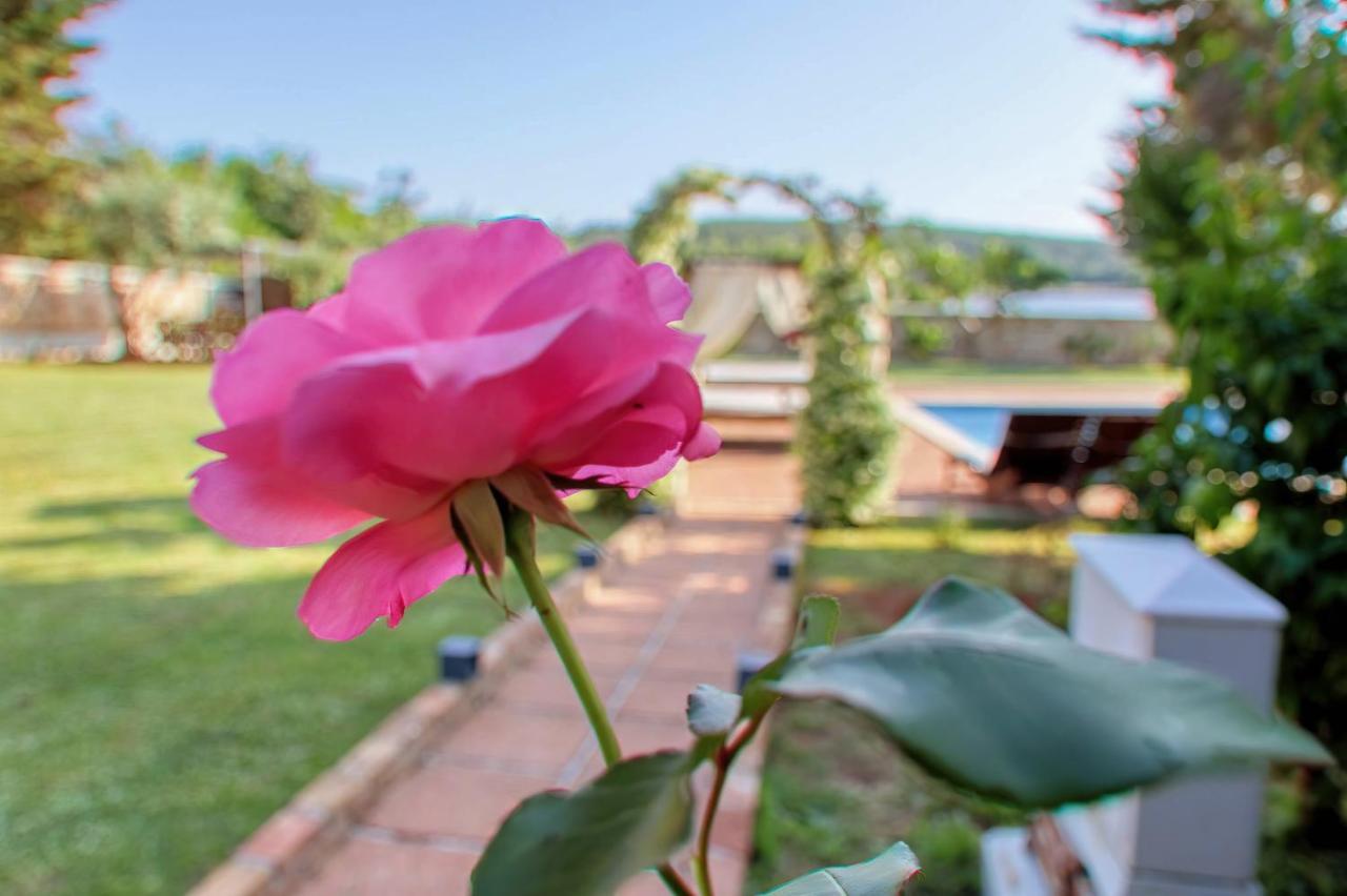 Holiday Home Giardino Marino Pomer Exteriér fotografie